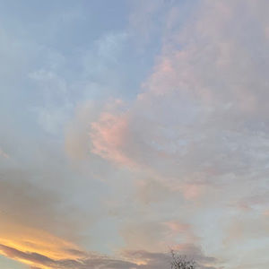 Meet your Posher, Caylin